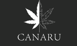 Canaru