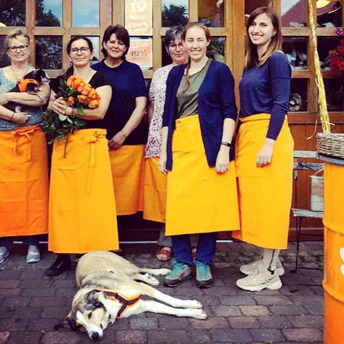 Logo von time for dogs, zufriedener Kunde der ErVer Unternehmensberatung